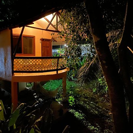 Casa Jaguar Tortugueroヴィラ エクステリア 写真