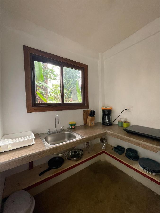 Casa Jaguar Tortugueroヴィラ エクステリア 写真