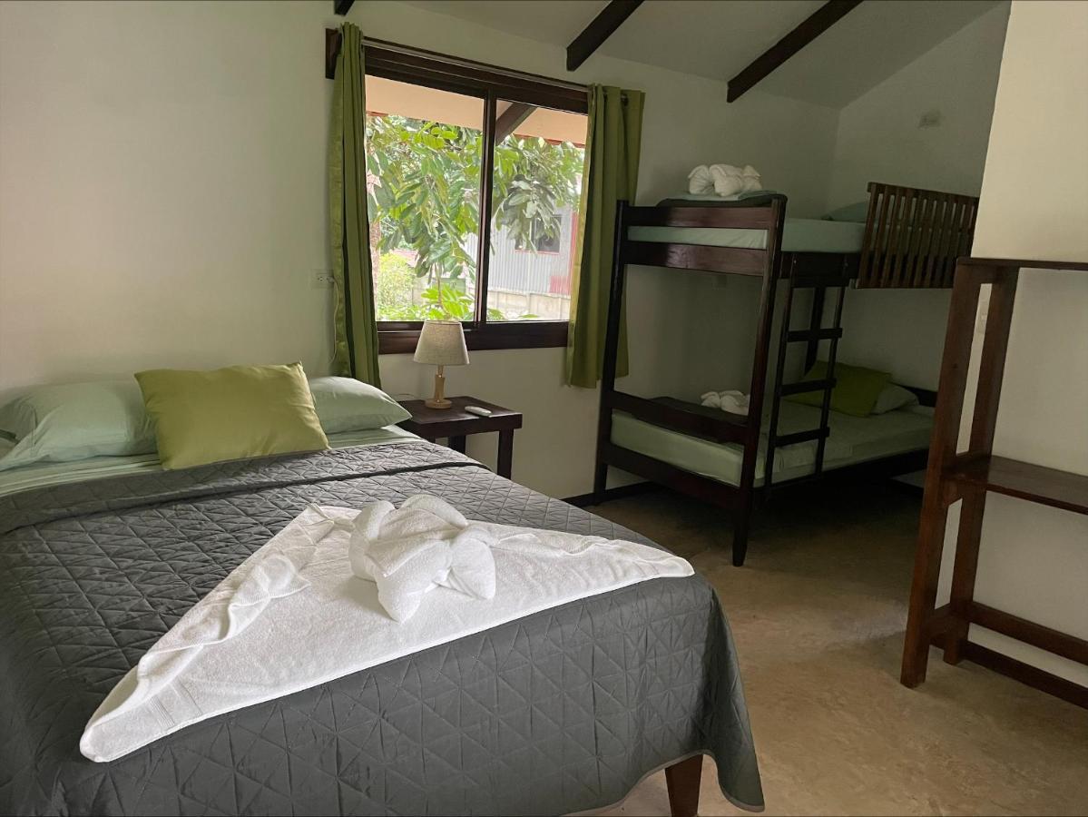 Casa Jaguar Tortugueroヴィラ エクステリア 写真