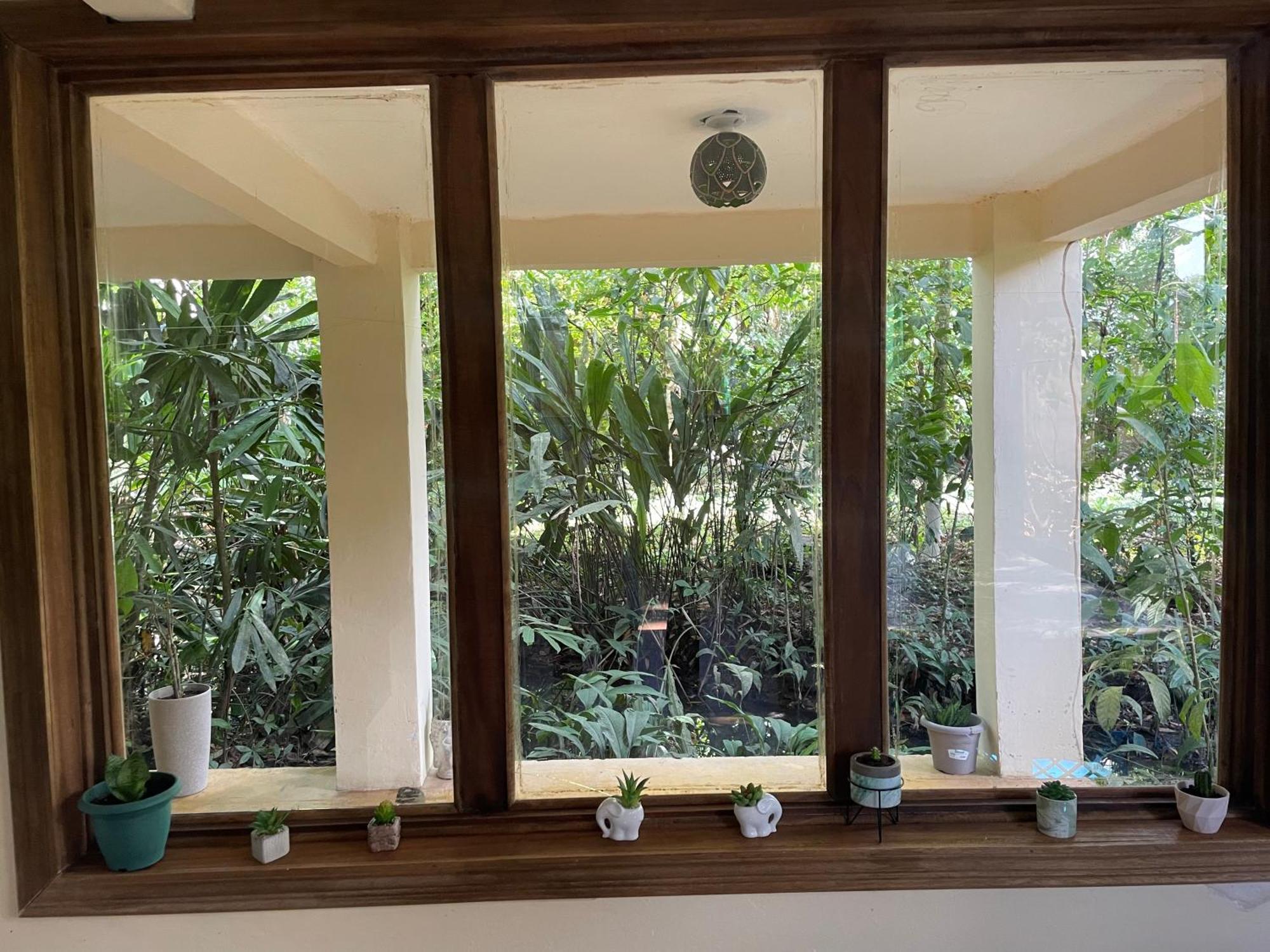 Casa Jaguar Tortugueroヴィラ エクステリア 写真