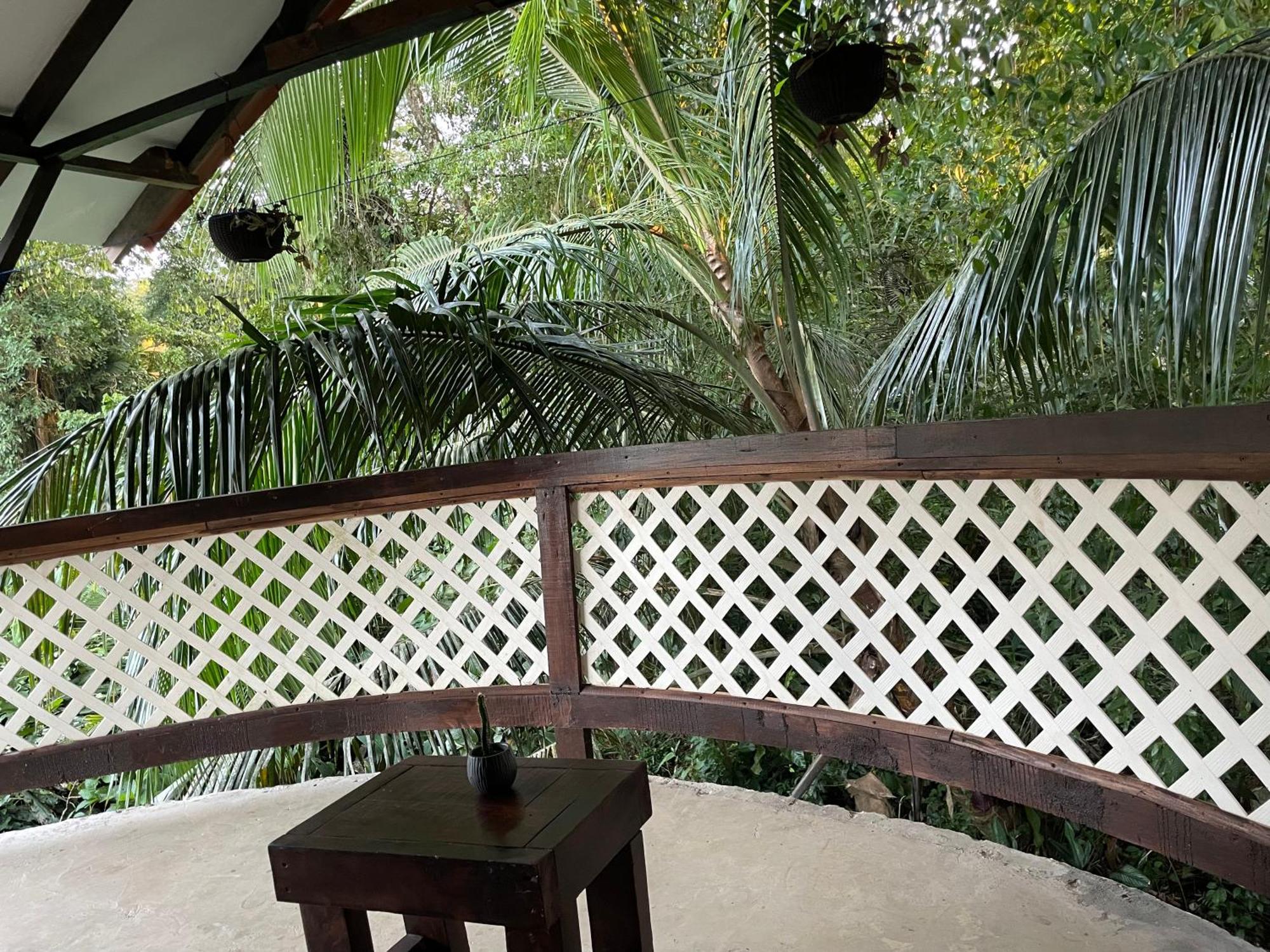 Casa Jaguar Tortugueroヴィラ エクステリア 写真