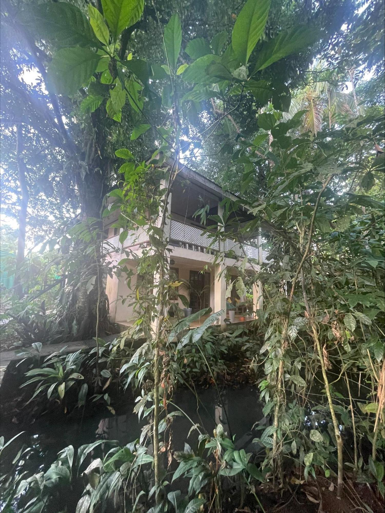 Casa Jaguar Tortugueroヴィラ エクステリア 写真