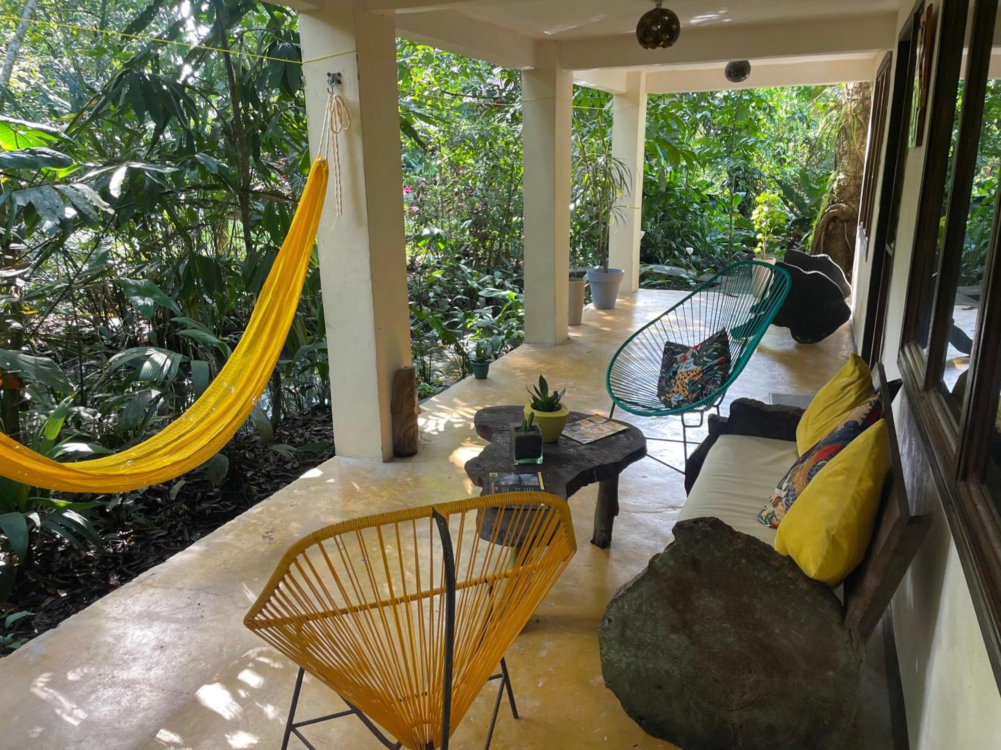 Casa Jaguar Tortugueroヴィラ エクステリア 写真