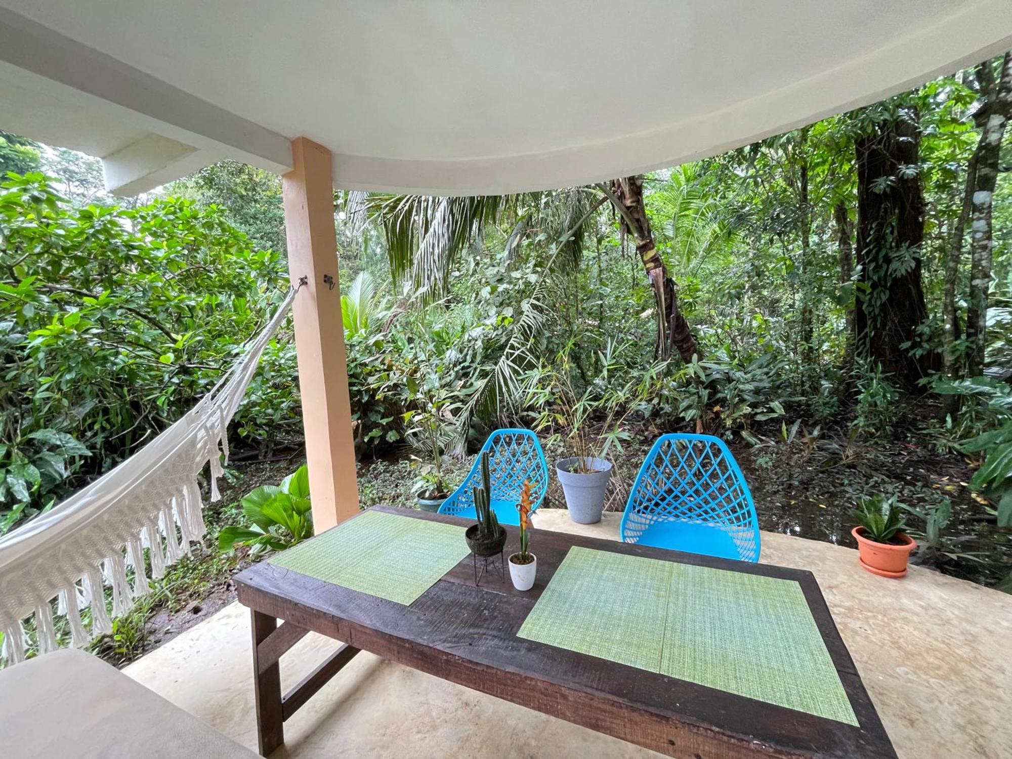 Casa Jaguar Tortugueroヴィラ エクステリア 写真