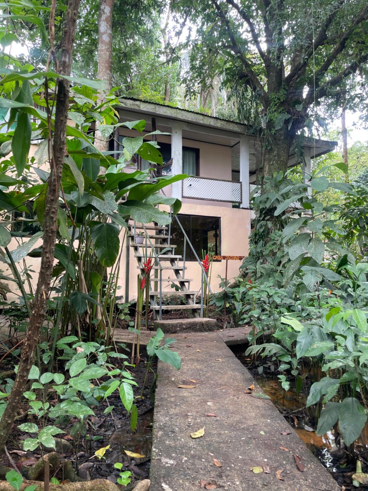 Casa Jaguar Tortugueroヴィラ エクステリア 写真