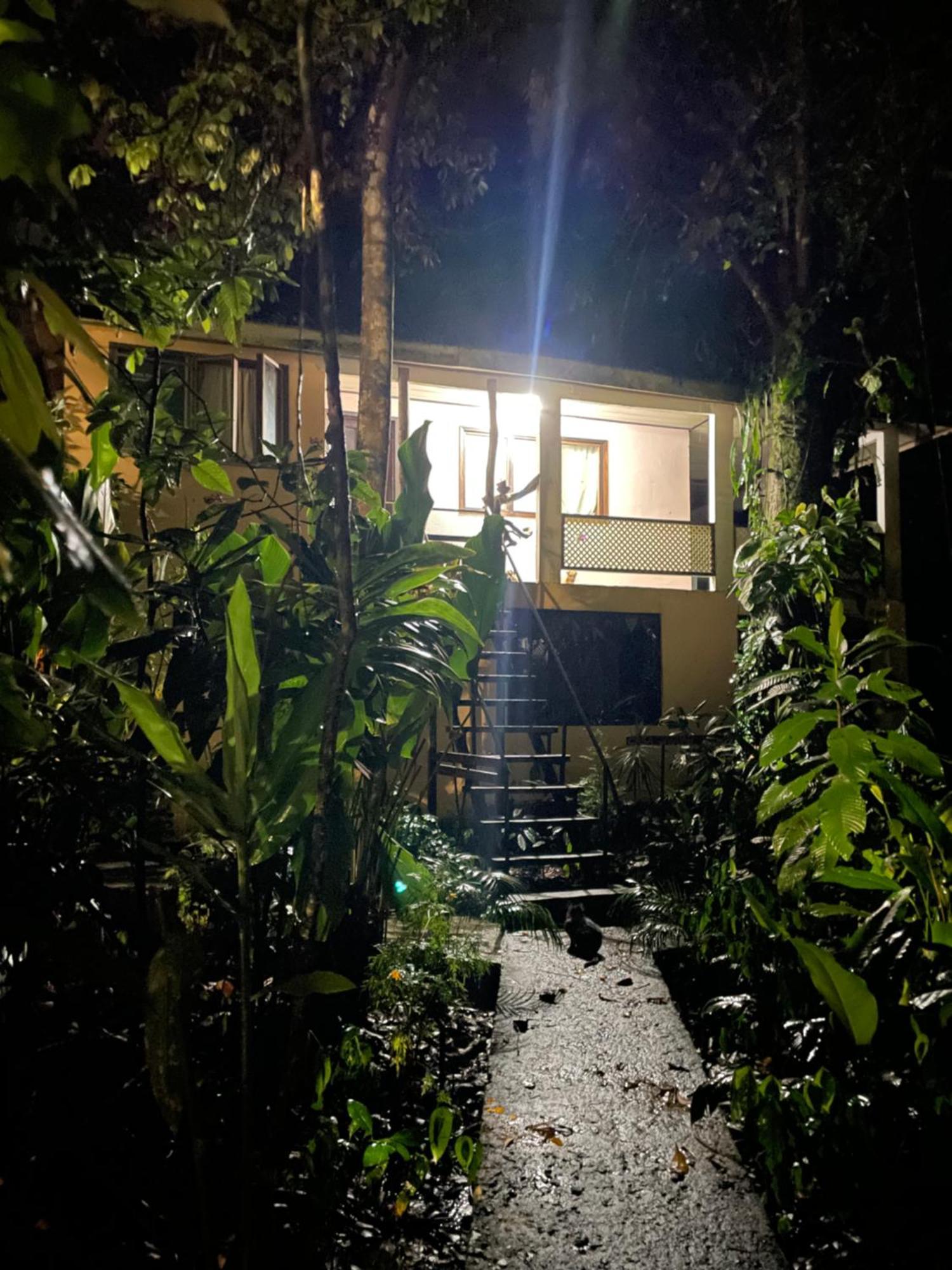 Casa Jaguar Tortugueroヴィラ エクステリア 写真
