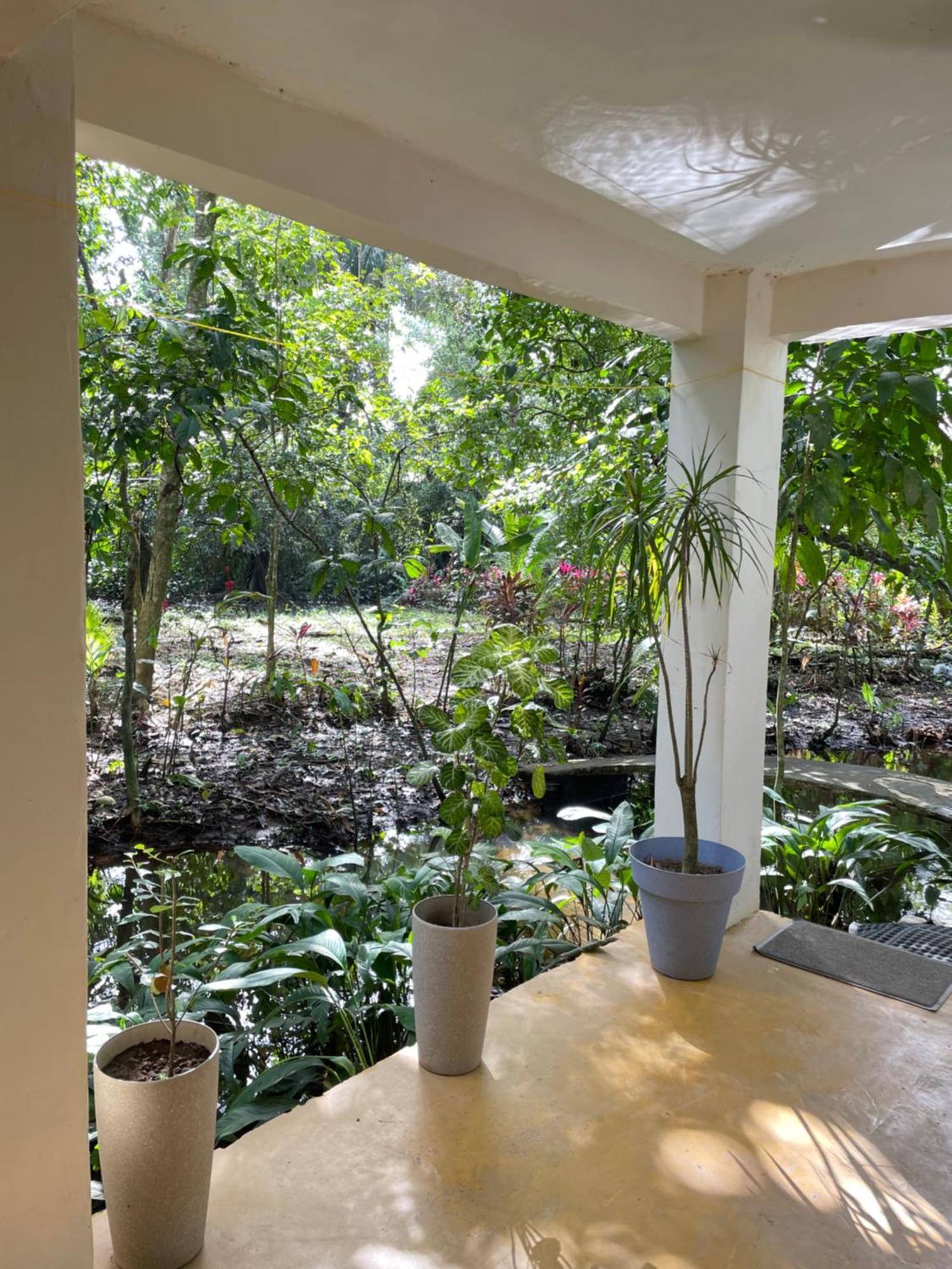 Casa Jaguar Tortugueroヴィラ エクステリア 写真